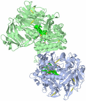 Image Asym./Biol. Unit - sites