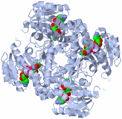 Image Biological Unit 1