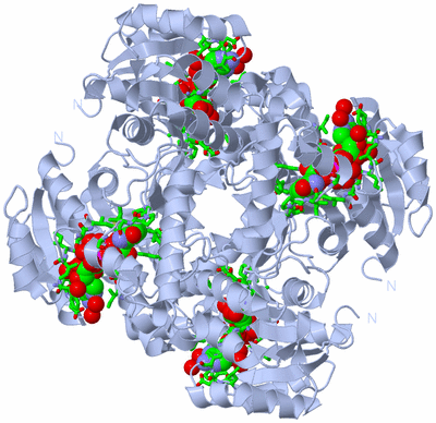 Image Biol. Unit 1 - sites