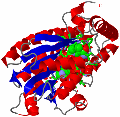 Image Asym. Unit - sites