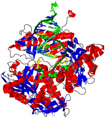 Image Asym./Biol. Unit