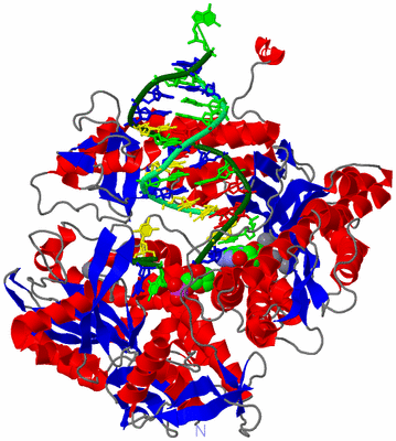 Image Asym./Biol. Unit