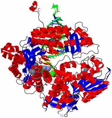 Image Asym./Biol. Unit