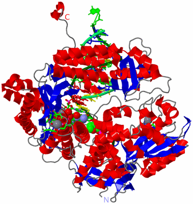 Image Asym./Biol. Unit - sites