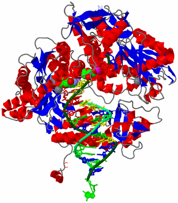 Image Asym./Biol. Unit