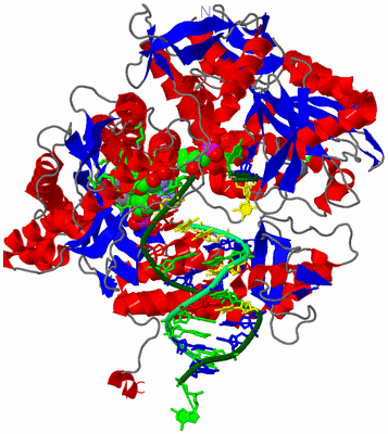 Image Asym./Biol. Unit - sites