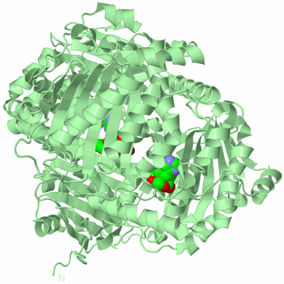 Image Biological Unit 2