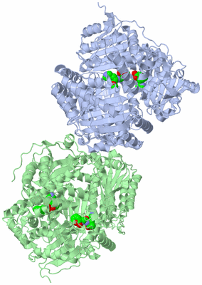 Image Biological Unit 3