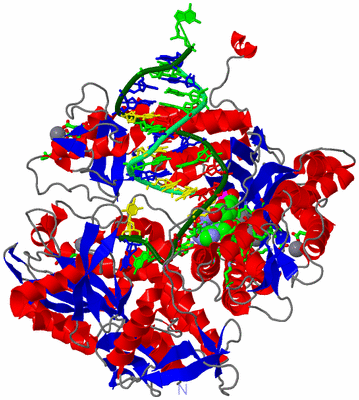 Image Asym./Biol. Unit - sites