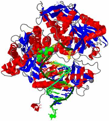 Image Asym./Biol. Unit