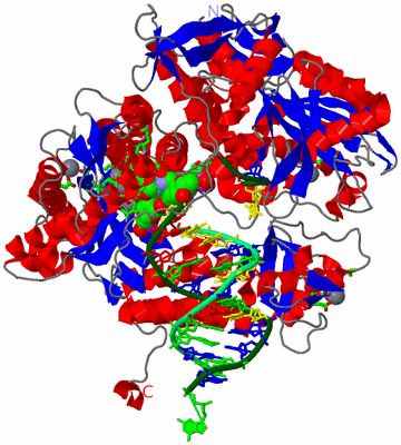 Image Asym./Biol. Unit - sites