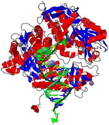 Image Asym./Biol. Unit