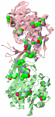 Image Biological Unit 2