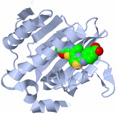 Image Biological Unit 1