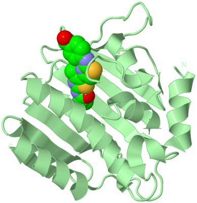 Image Biological Unit 2