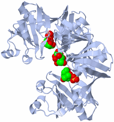 Image Biological Unit 1