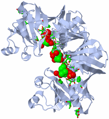 Image Biol. Unit 1 - sites