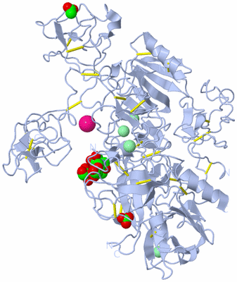 Image Biological Unit 1