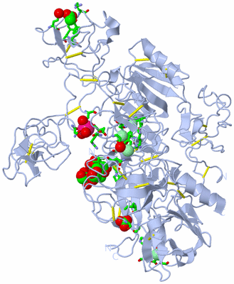 Image Biol. Unit 1 - sites