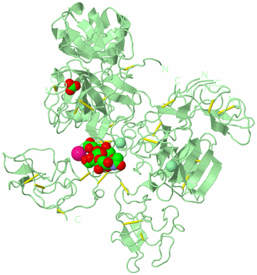 Image Biological Unit 2