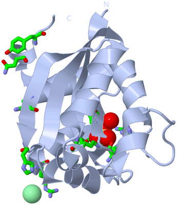 Image Biol. Unit 1 - sites