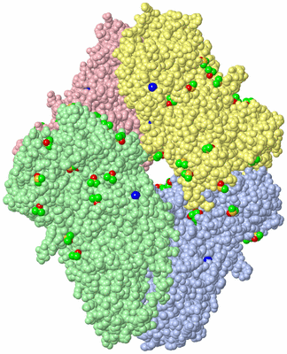 Image Asym./Biol. Unit