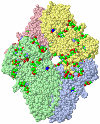 Image Asym./Biol. Unit - sites