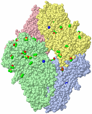 Image Asym./Biol. Unit