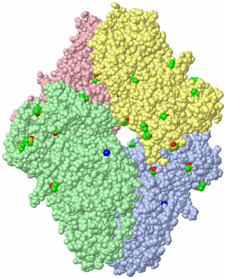 Image Asym./Biol. Unit