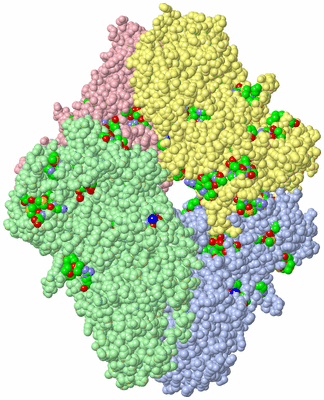 Image Asym./Biol. Unit - sites