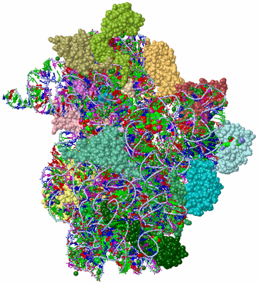 Image Asym./Biol. Unit - sites