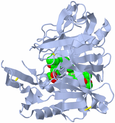 Image Biological Unit 1