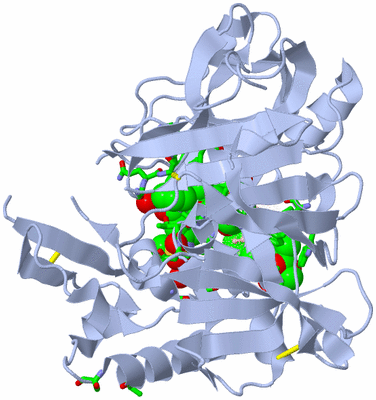 Image Biol. Unit 1 - sites