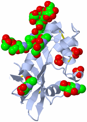 Image Biological Unit 1