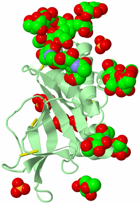 Image Biological Unit 2