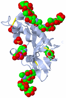 Image Biological Unit 1