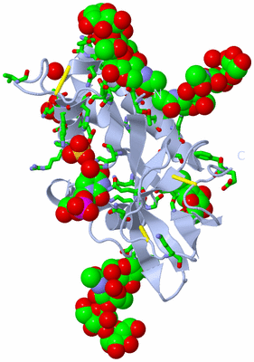 Image Biol. Unit 1 - sites