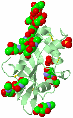 Image Biological Unit 2