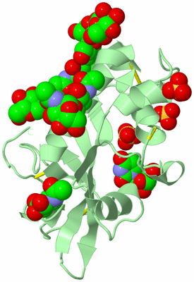 Image Biological Unit 2