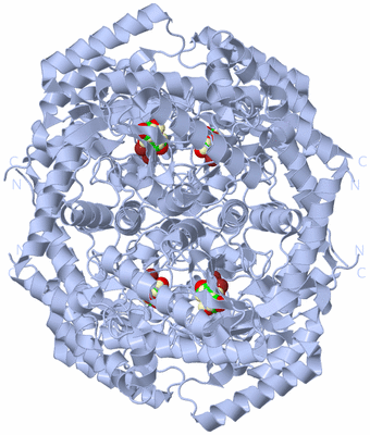 Image Biological Unit 1