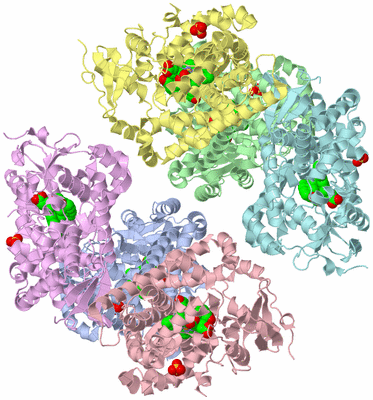 Image Biological Unit 1