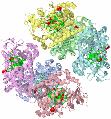 Image Biol. Unit 1 - sites