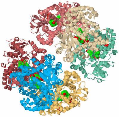 Image Biological Unit 2