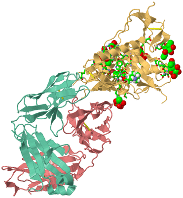 Image Asym./Biol. Unit - sites