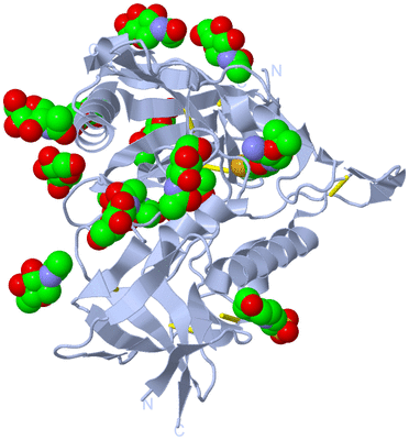 Image Biological Unit 1