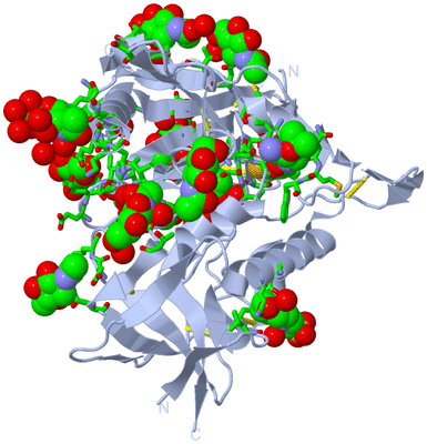 Image Biol. Unit 1 - sites