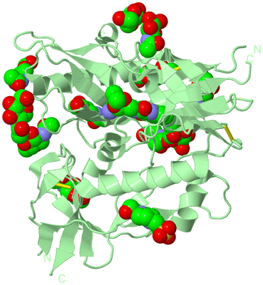 Image Biological Unit 2