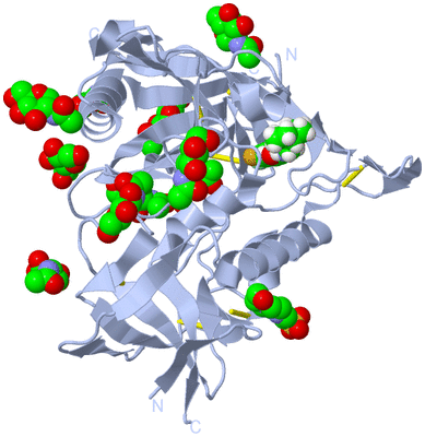 Image Biological Unit 1