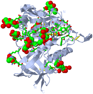 Image Biol. Unit 1 - sites