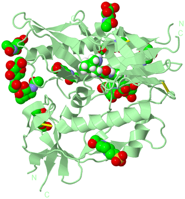 Image Biological Unit 2